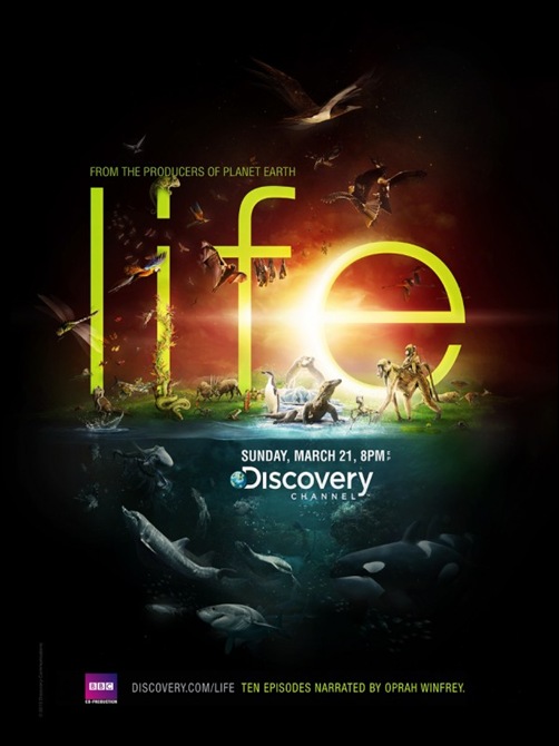 Discovery_Channel___Life_by_he1z-600x749