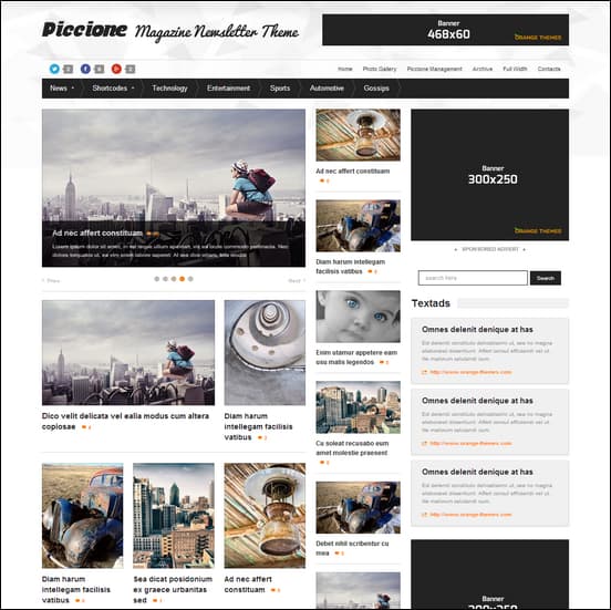 Piccione - Responsive News/Magazine Theme