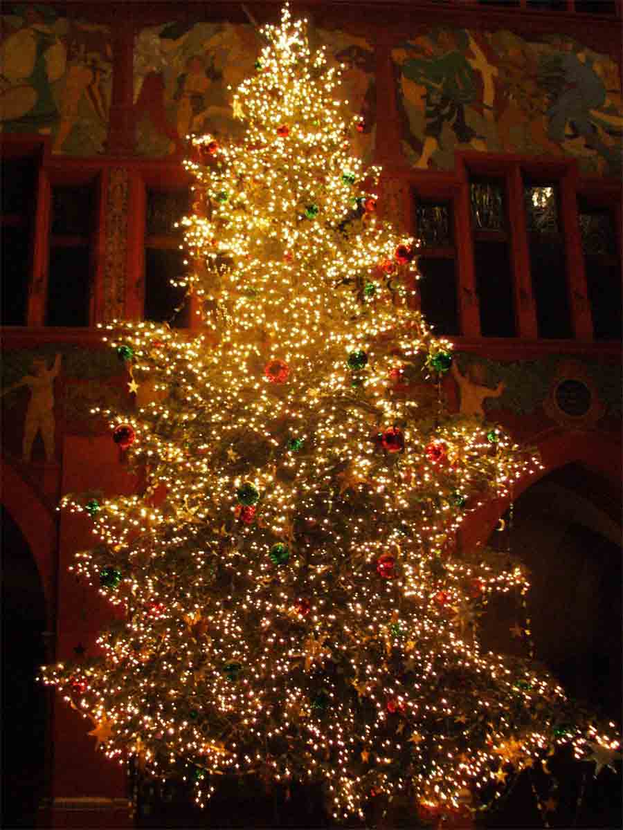 christmas-tree-pics-0203