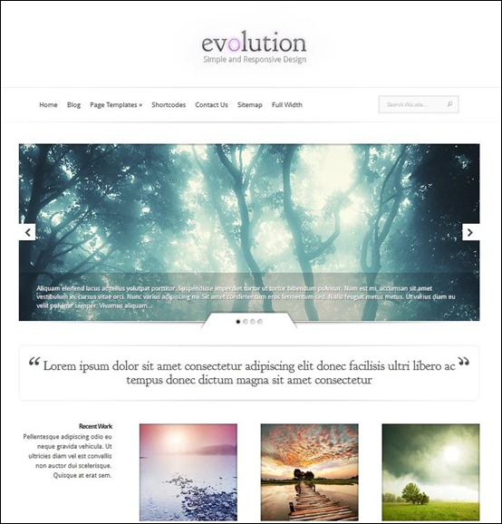 evolution-professional-wordpress-theme