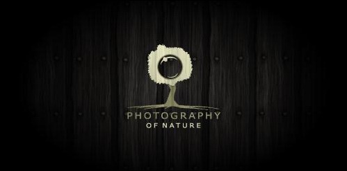 Photography of nature