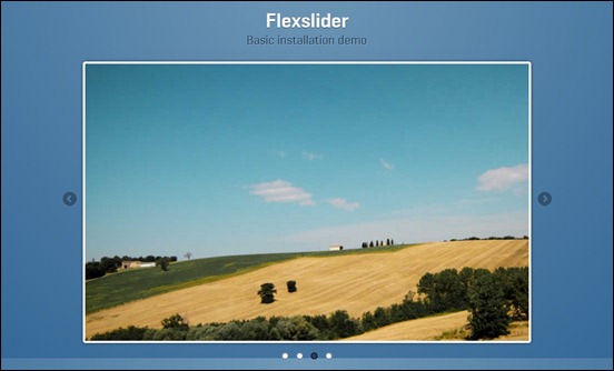 flexslider