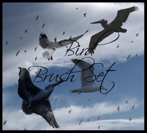 bird-brush-pack
