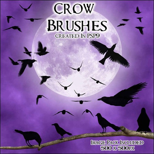 crow-psp-9-brushes