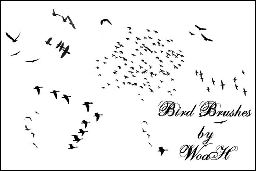 flying-bird-brushes