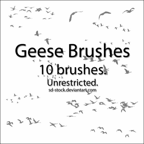 geese-brushes