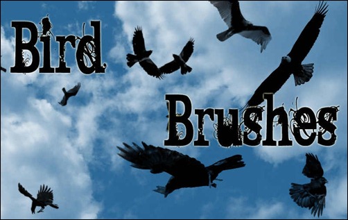 photoshop-brushes-birds