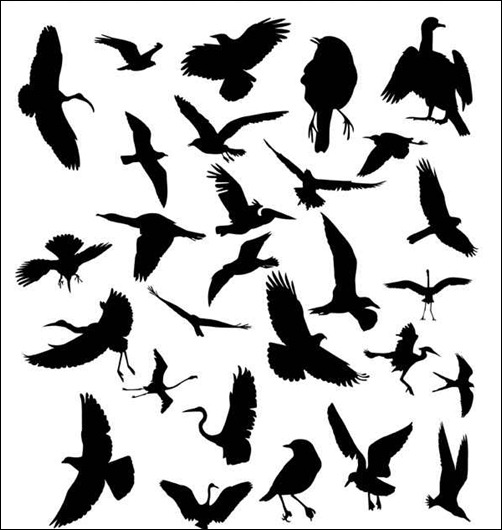 silhouette-bird-brushes