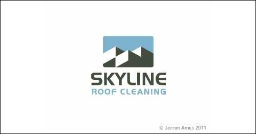 skyline-roof-cleaning