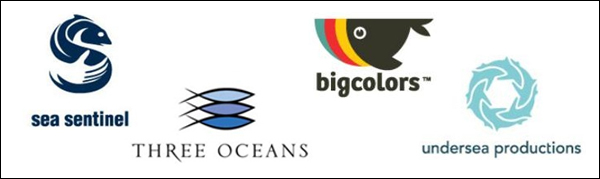 40+ Splashing Fish Logo Designs