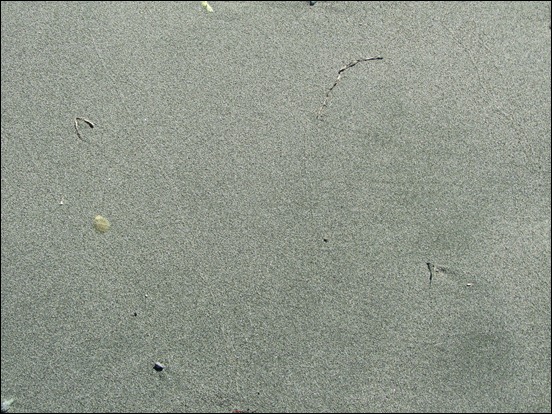 sand-and-debris-texture