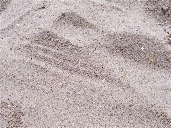 sand-texture-stock
