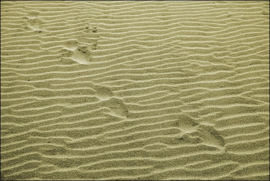 sand-texture[5]