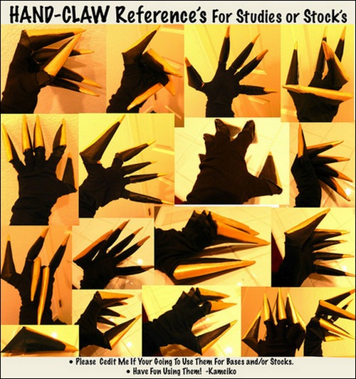 vector-Hand-Claw-References-for-Both-Studies-and-or-Stock-sets