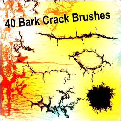 bark-crack-brushes