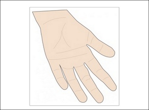 hand-vector-palm-clip-art