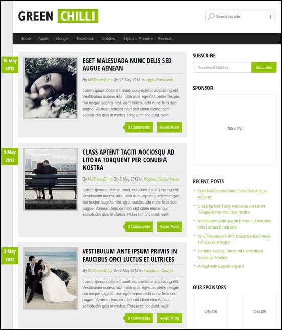 Greenchili is a clean, blog style WordPress theme