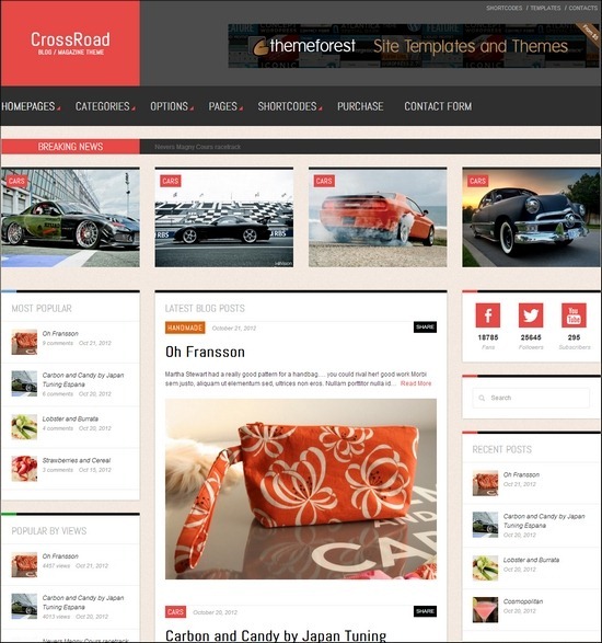 CrossRoad is a Responsive WordPress Theme, best suited for Magazines, News and Blogs