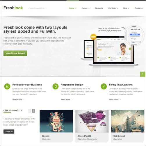 Freshlook business website template