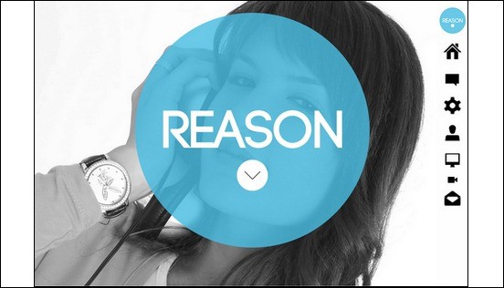 reason-wordpress-responsive-parallax-theme[5]