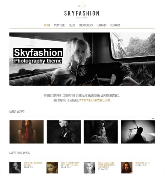 Skyfashion - Minimalist WordPress Theme