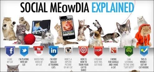 30+ Useful And Informative Social Media Infographics