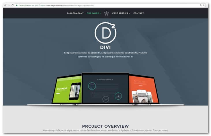 Divi The Ultimate WordPress Theme and Visual Page Builder