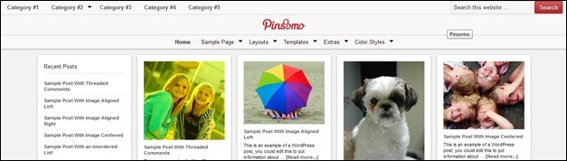 25 Awesome Pinterest WordPress Theme Showcase