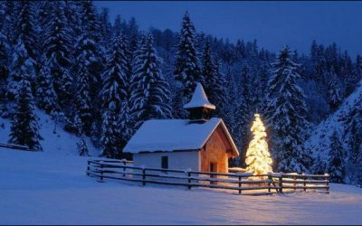 24 Stunning Christmas Tree Images