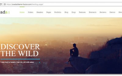 Avada Theme Review – Is Avada Really One Of The Best WordPress Themes ever?